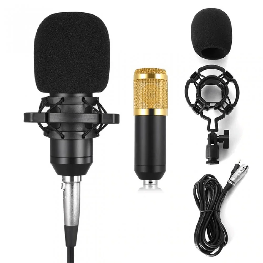 BM800-Microphone-1000x1000.jpg
